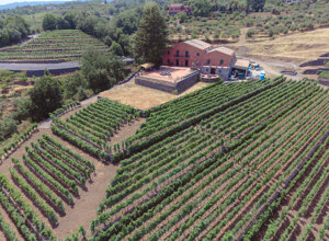dji_20260804135359_0004_d.jpeg