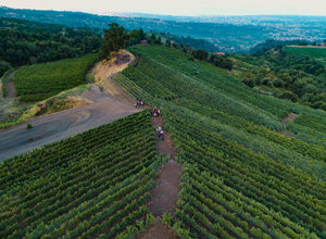 dji_20260808191853_0068_d.jpeg