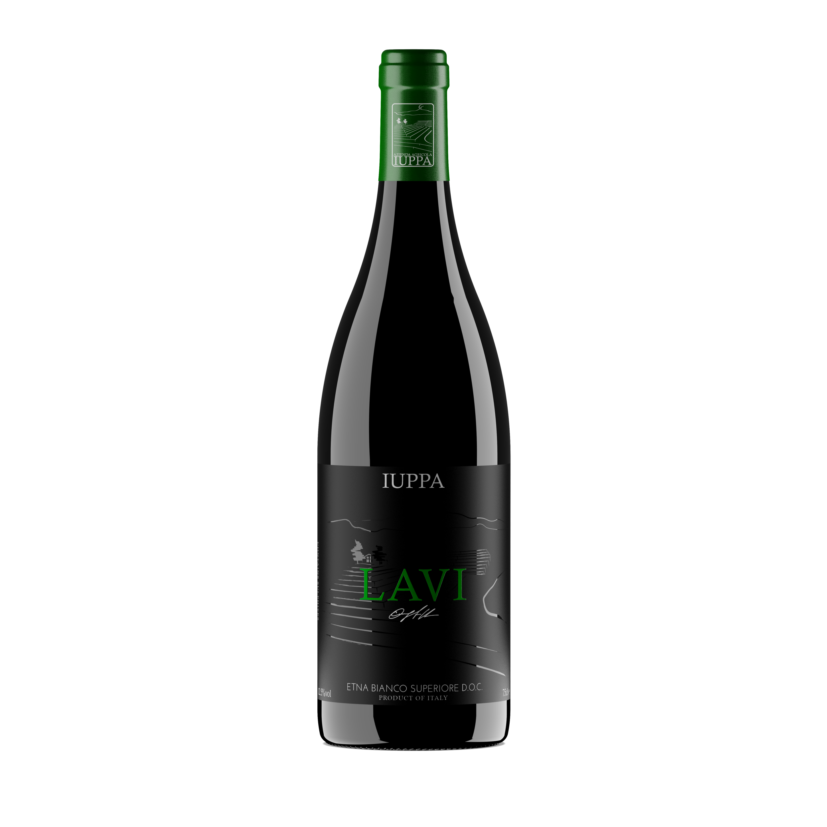 lavi_-2022.png lavi_-2022.png