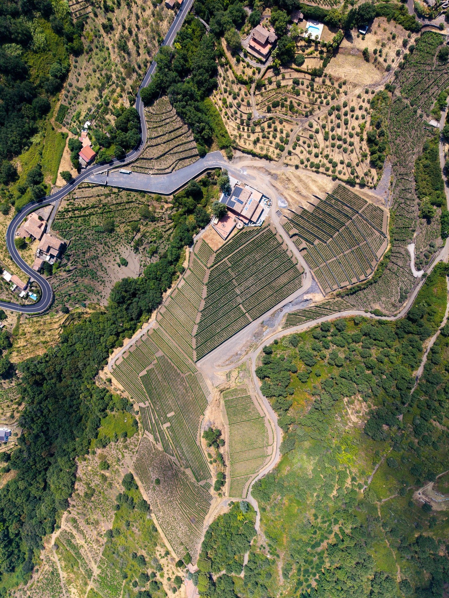 dji_20260804141331_0034_d.jpeg