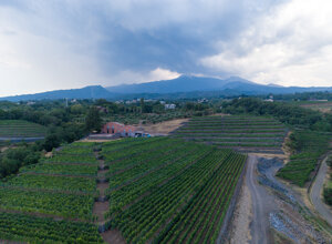 dji_20260804141331_0034_d.jpeg