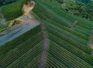 dji_20260808190338_0055_d.jpeg