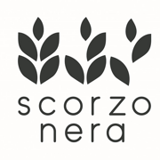 scorzo