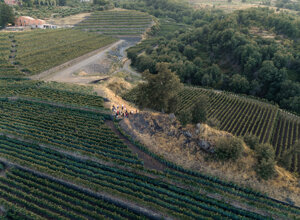 dji_20260808203719_0074_d.jpeg