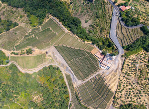 dji_20260804135359_0004_d.jpeg
