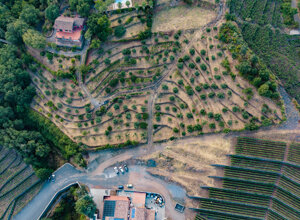 dji_20260808171836_0034_d.jpeg