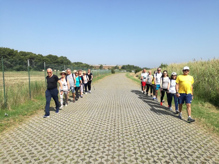 gruppo di persone che fanno il tandem esercizio durante il corso di nordic walking gruppo di persone che fanno il tandem esercizio durante il corso di nordic walking