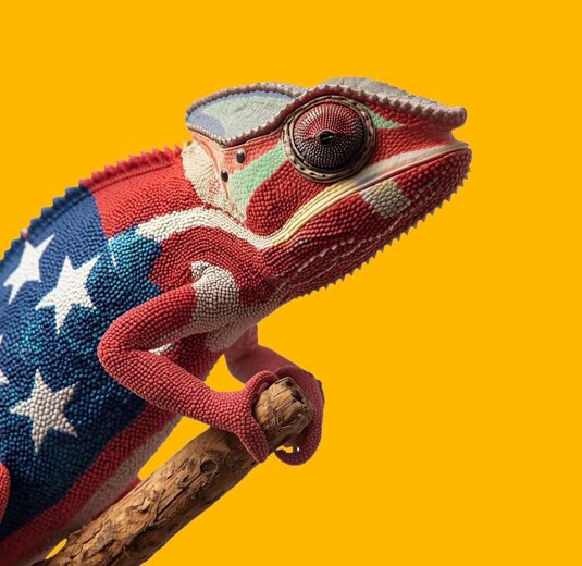 Alt-Strategia-Ingresso-mercato-USA Alt-Strategia-Ingresso-mercato-USA