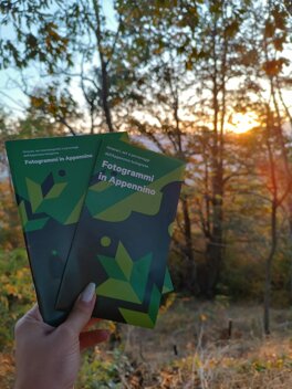 whatsapp image 2023-10-12 at 18.25.16 (2).jpeg