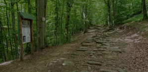 via degli dei x sito