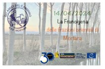 logo con francigena.jpeg logo con francigena.jpeg