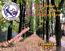 logo corretto.jpeg logo corretto.jpeg