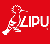 libertas-lucca-1 libertas-lucca-1