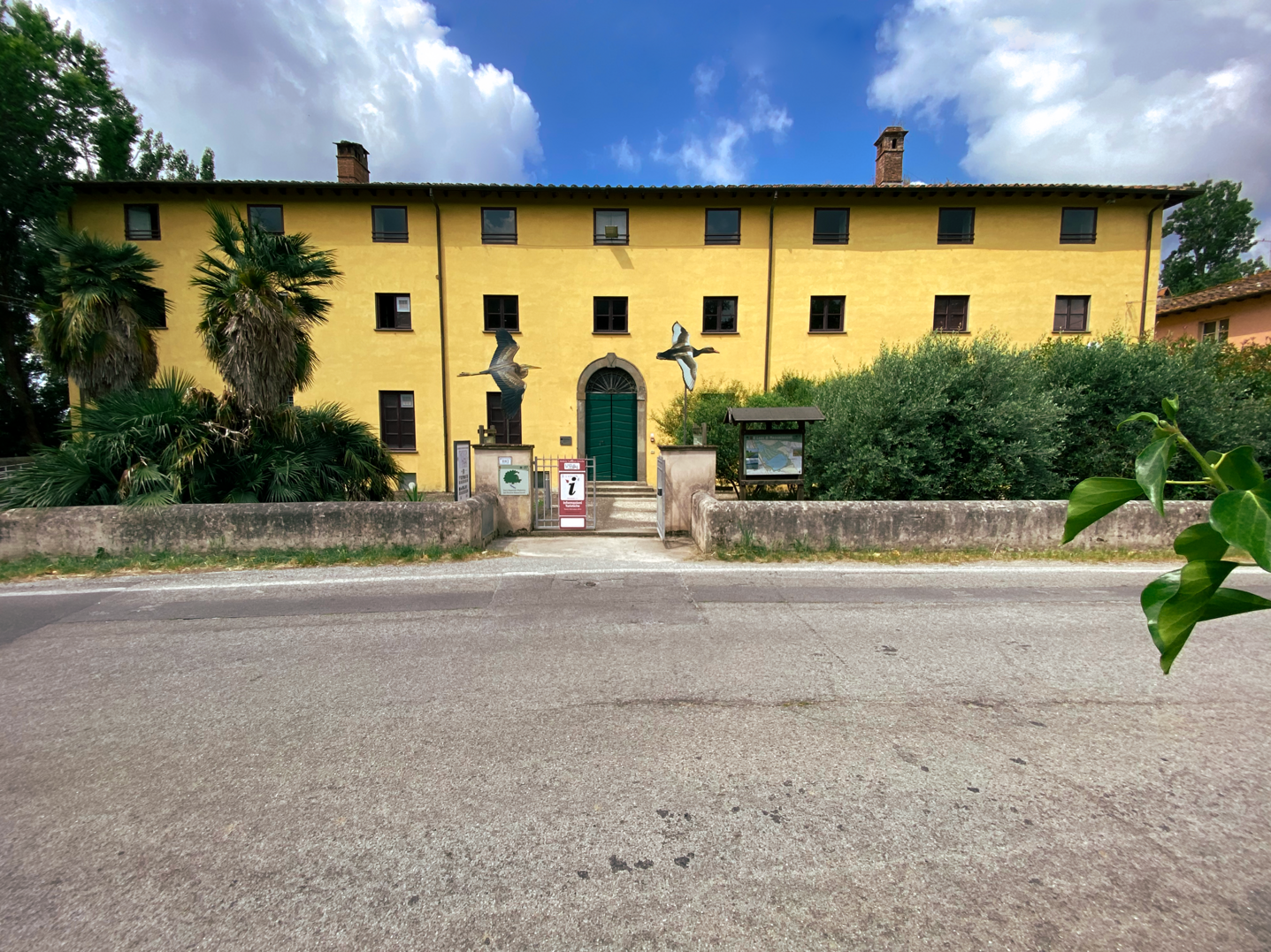 image00066 image00066