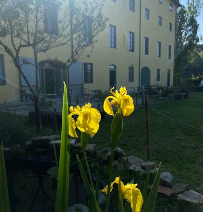img-20250707-wa0010.jpeg