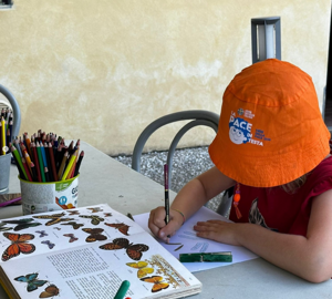 screenshot%202026-03-04%20103408