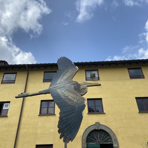 img_7285.jpeg img_7285.jpeg