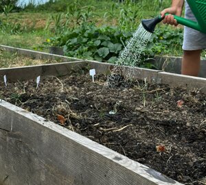 screenshot%202026-03-04%20103220