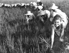 zfc_1251.jpeg zfc_1251.jpeg