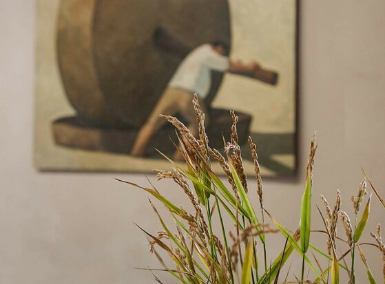 51169521_1704407832994041_6284356827081605120_n.jpeg 51169521_1704407832994041_6284356827081605120_n.jpeg