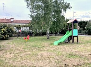 img_4572.jpeg img_4572.jpeg