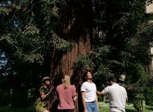 bloom%203.jpeg bloom%203.jpeg