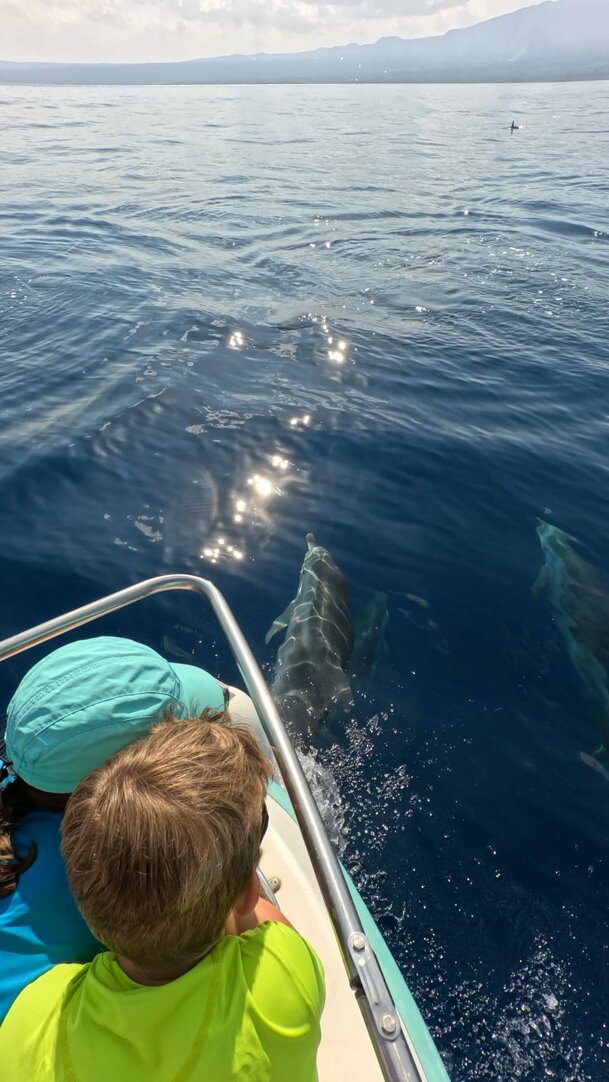 JTdCJTIyaXQlMjIlM0ElMjJGYW1pZ2xpYSUyMGluJTIwYmFyY2ElMjBkdXJhbnRlJTIwdW4lMjB0b3VyJTIwZGklMjBhdnZpc3RhbWVudG8lMjBkZWxmaW5pJTIwaW4lMjBTaWNpbGlhJUUyJTgwJTlEJTIyJTdE