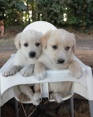 whatsapp%20image%202025-12-19%20at%2011.29.58.jpeg whatsapp%20image%202025-12-19%20at%2011.29.58.jpeg