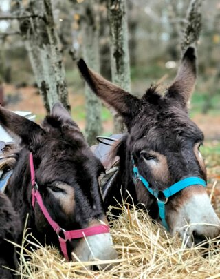 esperienza%20campagna%205.jpeg esperienza%20campagna%205.jpeg