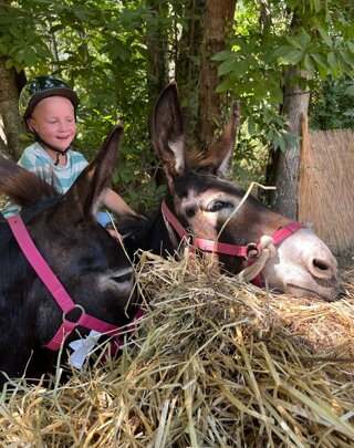 whatsapp%20image%202025-12-19%20at%2011.29.56.jpeg whatsapp%20image%202025-12-19%20at%2011.29.56.jpeg