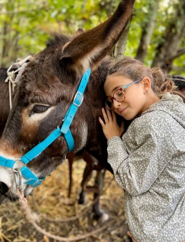 asinelli etna asinelli etna