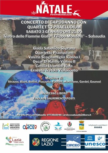 3 gennaio concerto di capodanno.jpeg