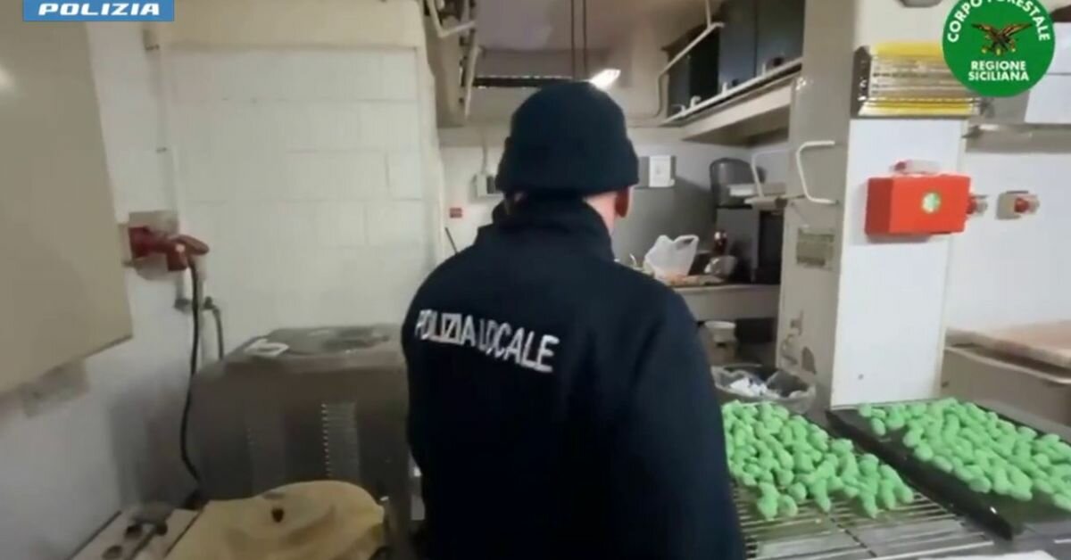 Cibo scadente, sequestri e sanzioni: chiusa macelleria alla Fiera di Catania