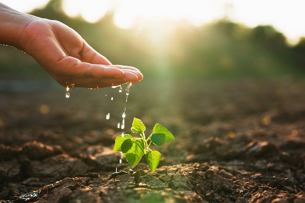Tecnologia agricola e Settore ortofrutticolo, Siciliafiera e Cesena Fiera siglano Protocollo