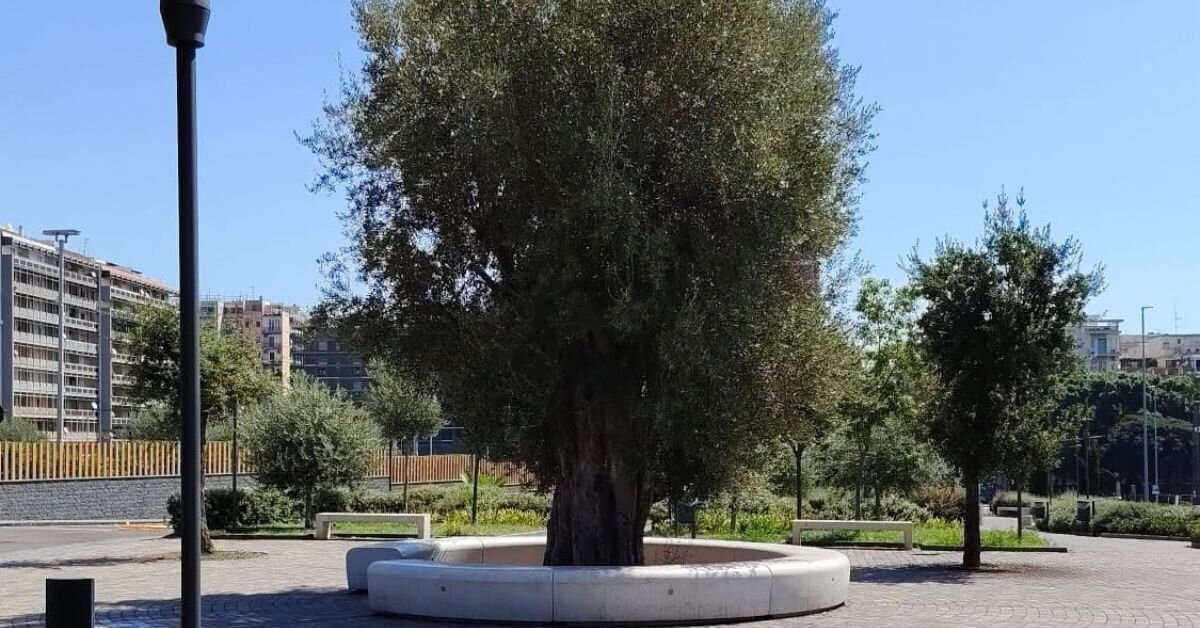 rifiuti-polizia-locale-(1).jpeg