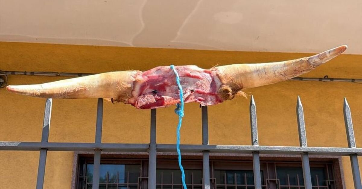 Nuova intimidazione al presidente dell'Acireale calcio Giovanni Di Mauro