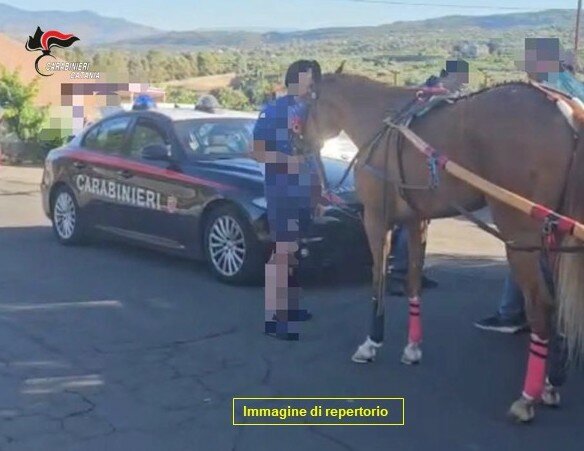 Bloccata prima del via corsa di cavalli sui tornanti dell'Etna: identificate 22 persone