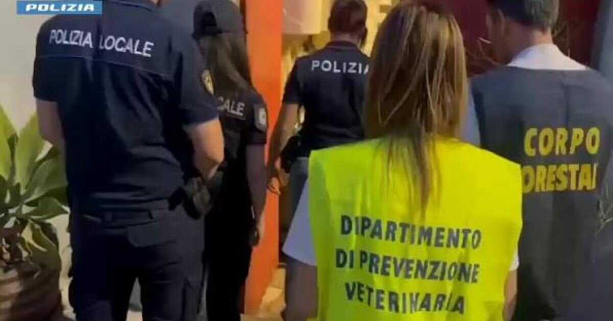 Catania, laboratorio di pasticceria degli orori oltre che abusivo