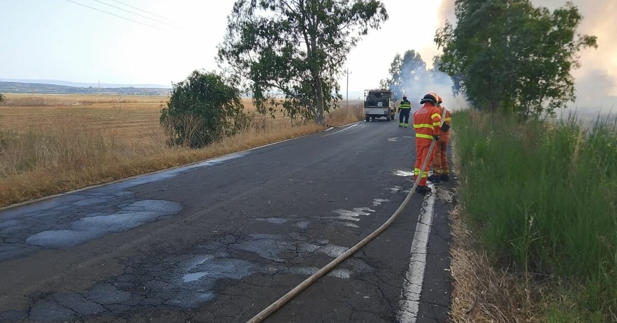 La Forestale blocca un vasto incendio di chiara matrice mafiosa