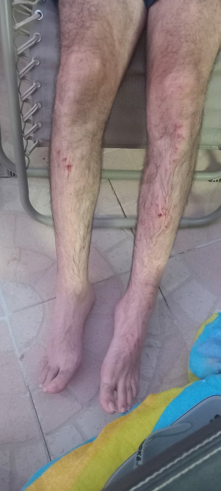 whatsapp-image-2026-08-03-at-07.57.42.jpeg