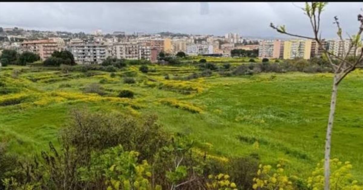 Orti della Susanna, via libera all'acquisizione pubblica: Lombardo (Mpa): La nostra battaglia progetto per Catania