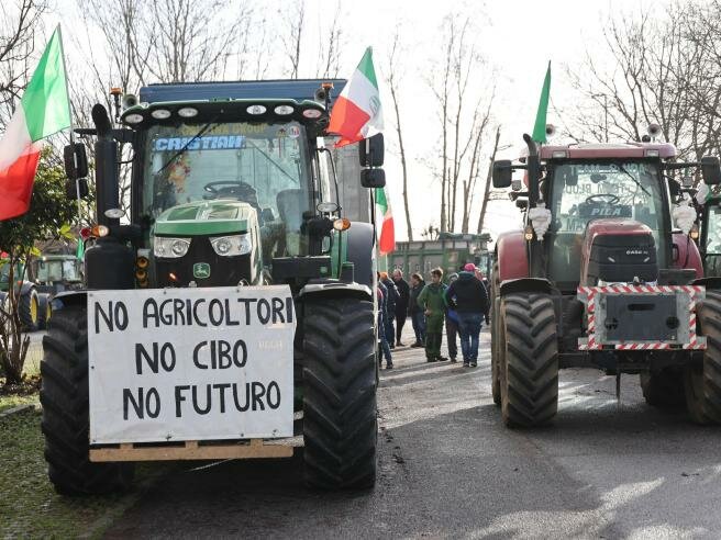 Concetta Raia: Chi dovrebbe ascoltare le grida d'aiuto di agricoltori, pescatori e autotrasportatori?