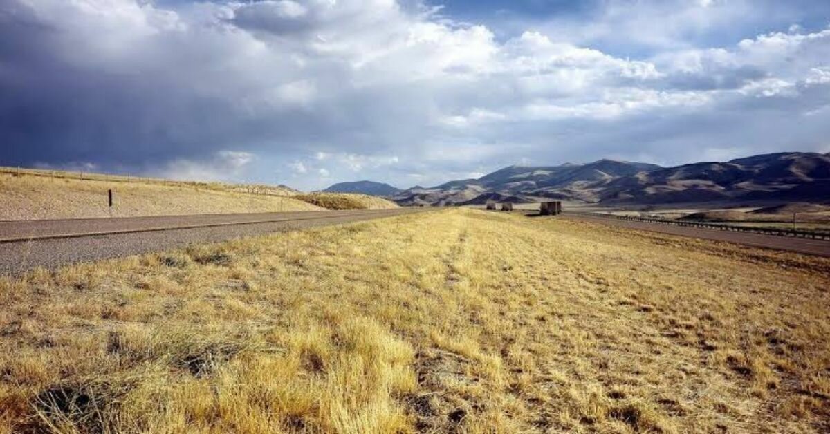 PSR Sicilia, Sgroi (Centro Studi Agricoli): I 40 milioni annunciati? Servono risorse e decreti per le aziende