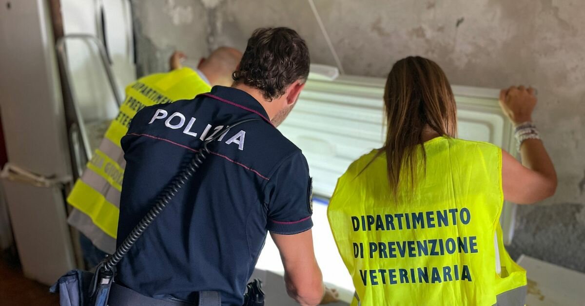 Aci Trezza, sequestrati in un ristorante 80 kg fra pesce surgelato e preparati