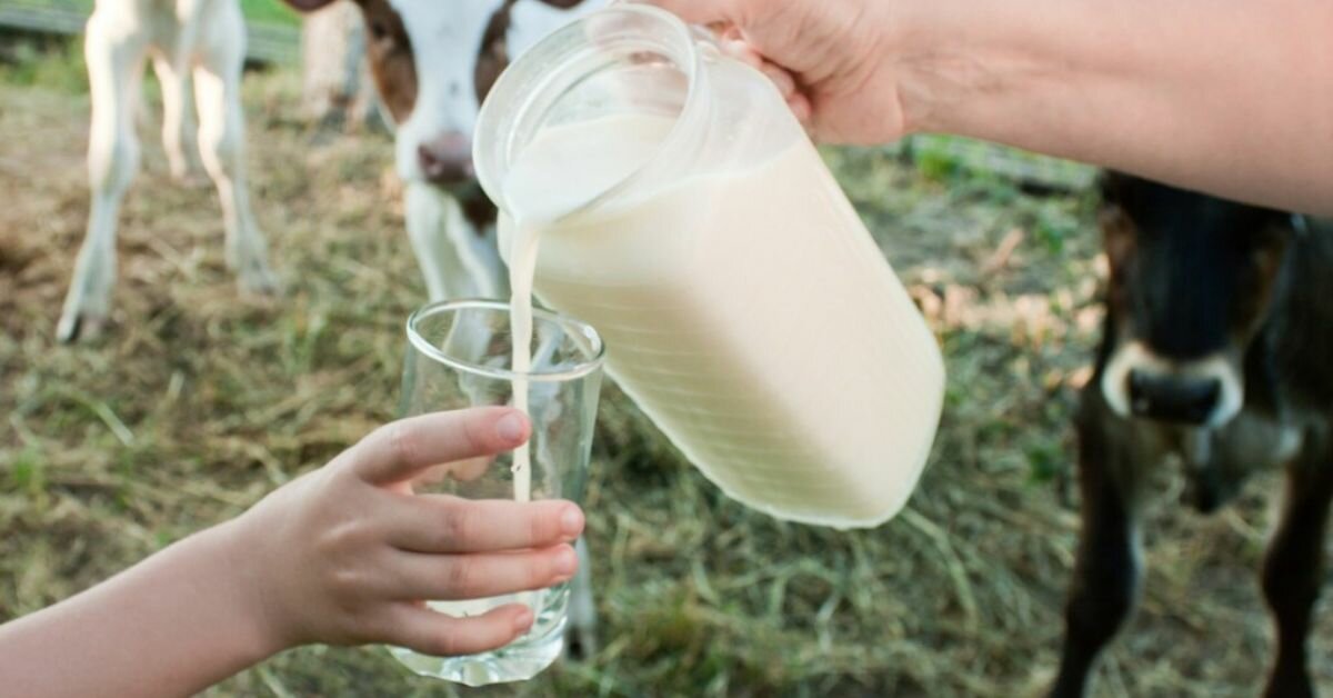 Latte maltese spacciato per siciliano e distribuito agli operatori locali