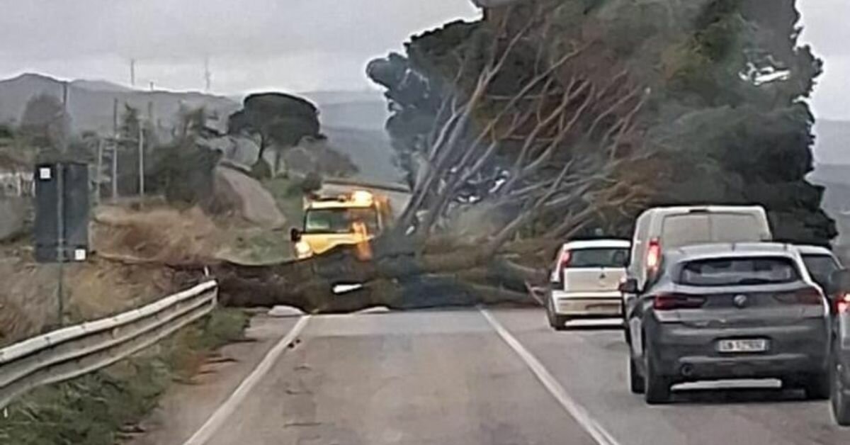 Maltempo: non basta sospendere i mutui, serve lo stop a Tributi, Bollette e Affitti