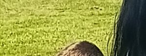 20260710_095205.jpeg