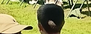 20260710_095206.jpeg