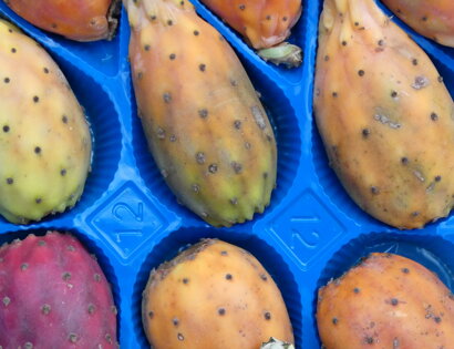 A Putia da Peppe contatti Biglietto da Visita On-Line Alimentari Frutta e Verdura Floridia