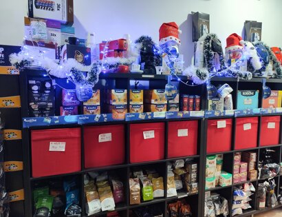 eyJpdCI6IkNpcm9zIENhZmboIEZsb3JpZGlhIENvbnRhdHRpIEJpZ2xpZXR0byBkYSBWaXNpdGEifQ==